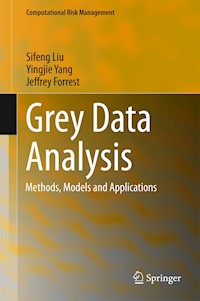 Grey Data Analysis - Sifeng Liu - E-Book