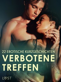 Verbotene Treffen: 22 erotische Kurzgeschichten - LUST authors - E-Book