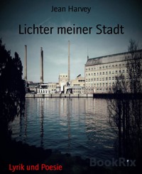 Lichter meiner Stadt - Jean Harvey - E-Book