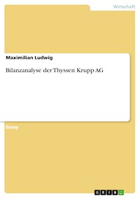 Bilanzanalyse der Thyssen Krupp AG - Maximilian Ludwig - E-Book