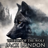 The Son of the Wolf  - Jack  London - Hörbuch