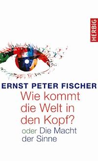 Wie kommt die Welt in den Kopf? - Ernst Peter Fischer - E-Book