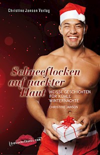 Schneeflocken auf nackter Haut - Christine Janson - E-Book