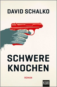 Schwere Knochen - David Schalko - E-Book