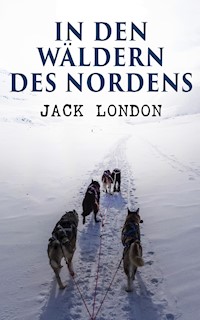 In den Wäldern des Nordens - Jack  London - E-Book