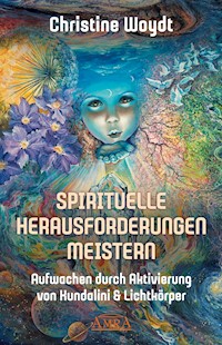 SPIRITUELLE HERAUSFORDERUNGEN MEISTERN - Christine Woydt - E-Book