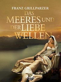 Des Meeres und der Liebe Wellen - Franz Grillparzer - E-Book