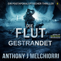 Die Flut: Gestrandet - Anthony J. Melchiorri - Hörbuch