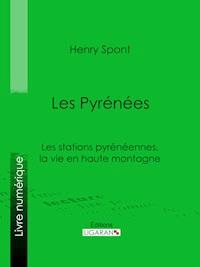 Les Pyrénées - Henry Spont - E-Book
