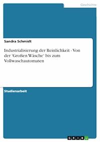 Industrialisierung der Reinlichkeit - Von der 'Großen Wäsche' bis zum Vollwaschautomaten - Sandra Schmidt - E-Book
