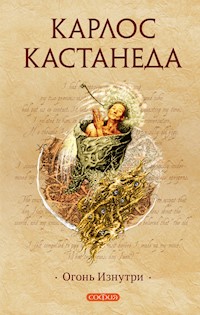 Огонь изнутри - Карлос Кастанеда - E-Book