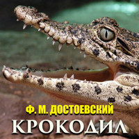 Крокодил - Федор Достоевский - Hörbuch