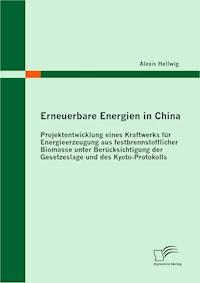 Erneuerbare Energien in China: Projektentwicklung eines Kraftwerks für Energieerzeugung aus festbrennstofflicher Biomasse unter Berücksichtigung der Gesetzeslage und des Kyoto-Protokolls - Alexis Hellwig - E-Book