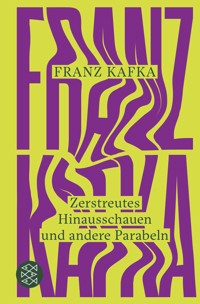 Zerstreutes Hinausschauen und andere Parabeln - Franz Kafka - E-Book