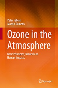 Ozone in the Atmosphere - Peter Fabian - E-Book