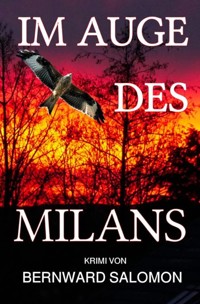 Im Auge des Milans - Bernward Salomon - E-Book