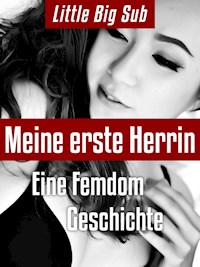 Meine erste Herrin - Little Big Sub - E-Book