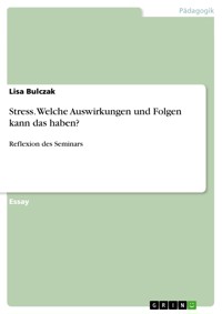 Stress. Welche Auswirkungen und Folgen kann das haben? - Lisa Bulczak - E-Book