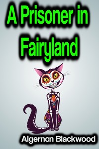 A Prisoner in Fairyland - Algernon Blackwood - E-Book
