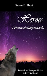 HEROES - Sternschnuppennacht - Susan B. Hunt - kostenlos E-Book