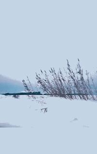 Schneewinter - Wolfgang Brammen - E-Book