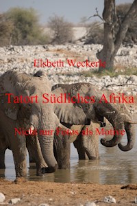 Tatort Südliches Afrika - Elsbeth Weckerle - E-Book