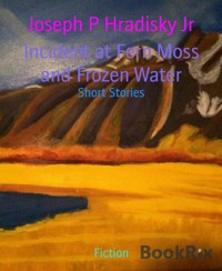 Incident at Fern Moss and Frozen Water - Joseph P Hradisky Jr - E-Book