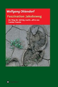 Faszination Jakobsweg - der Weg der süchtig macht...all in one - Wolfgang Ohlendorf - E-Book