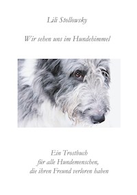 Wir sehen uns im Hundehimmel - Lili Stollowsky - E-Book