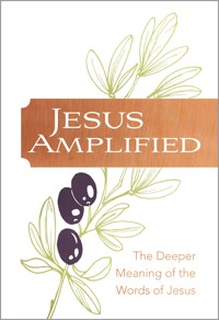 Jesus Amplified - Ray Comfort - E-Book