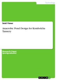 Anaerobic Pond Design for Kombolcha Tannery - Seid Yimer - E-Book