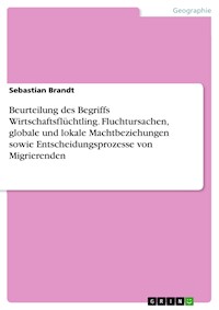 Beurteilung des Begriffs Wirtschaftsflüchtling. Fluchtursachen, globale und lokale Machtbeziehungen sowie Entscheidungsprozesse von Migrierenden - Sebastian Brandt - E-Book