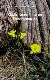 Gedichte zur inneren Transformation - Matthias der Frohpoet - E-Book