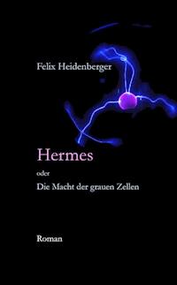 Hermes oder Die Macht der grauen Zellen - Felix Heidenberger - E-Book