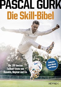 Die Skill-Bibel - Pascal Gurk - E-Book