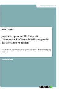 Jugend als potenzielle Phase für Delinquenz. Ein Versuch Erklärungen für das Verhalten zu finden - Luisa Lorger - E-Book