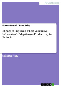 Impact of Improved Wheat Varieties & Information's Adoption on Productivity in Ethiopia - Fitsum Daniel - E-Book