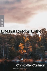 Unter dem Sturm - Christoffer Carlsson - E-Book