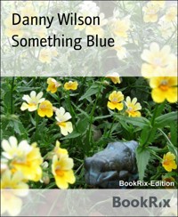 Something Blue - Danny Wilson - E-Book