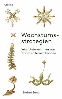 Wachstumsstrategien - Stefan Sengl - E-Book