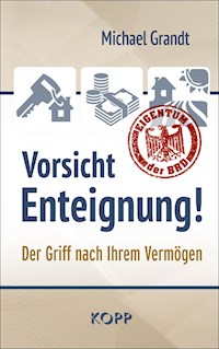 Vorsicht Enteignung! - Michael Grandt - E-Book