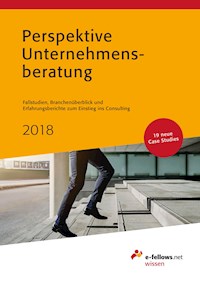 Perspektive Unternehmensberatung 2018 -  - E-Book