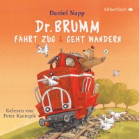 Dr. Brumm fährt  Zug / Dr. Brumm geht wandern (Dr. Brumm) - Daniel Napp - Hörbuch