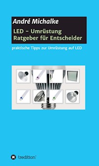 LED - Ratgeber für Entscheider - André Michalke - E-Book