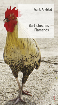 Bart chez les Flamands - Frank Andriat - E-Book
