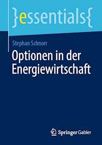 Optionen in der Energiewirtschaft - Stephan Schnorr - E-Book