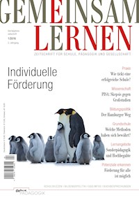 Individuelle Förderung - Hans Brügelmann - E-Book