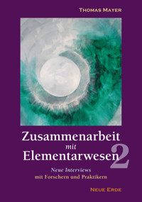 Zusammenarbeit mit Elementarwesen 2 - Thomas Mayer - E-Book