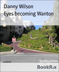 Eyes becoming Wanton - Danny Wilson - E-Book