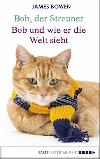 Bob, der Streuner - Bob und wie er die Welt sieht - James Bowen - E-Book